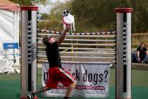 Trainer Lou McCammon and his rescue dog Kato perform a trick during "Jump! The Ultimate Dog Sho ...