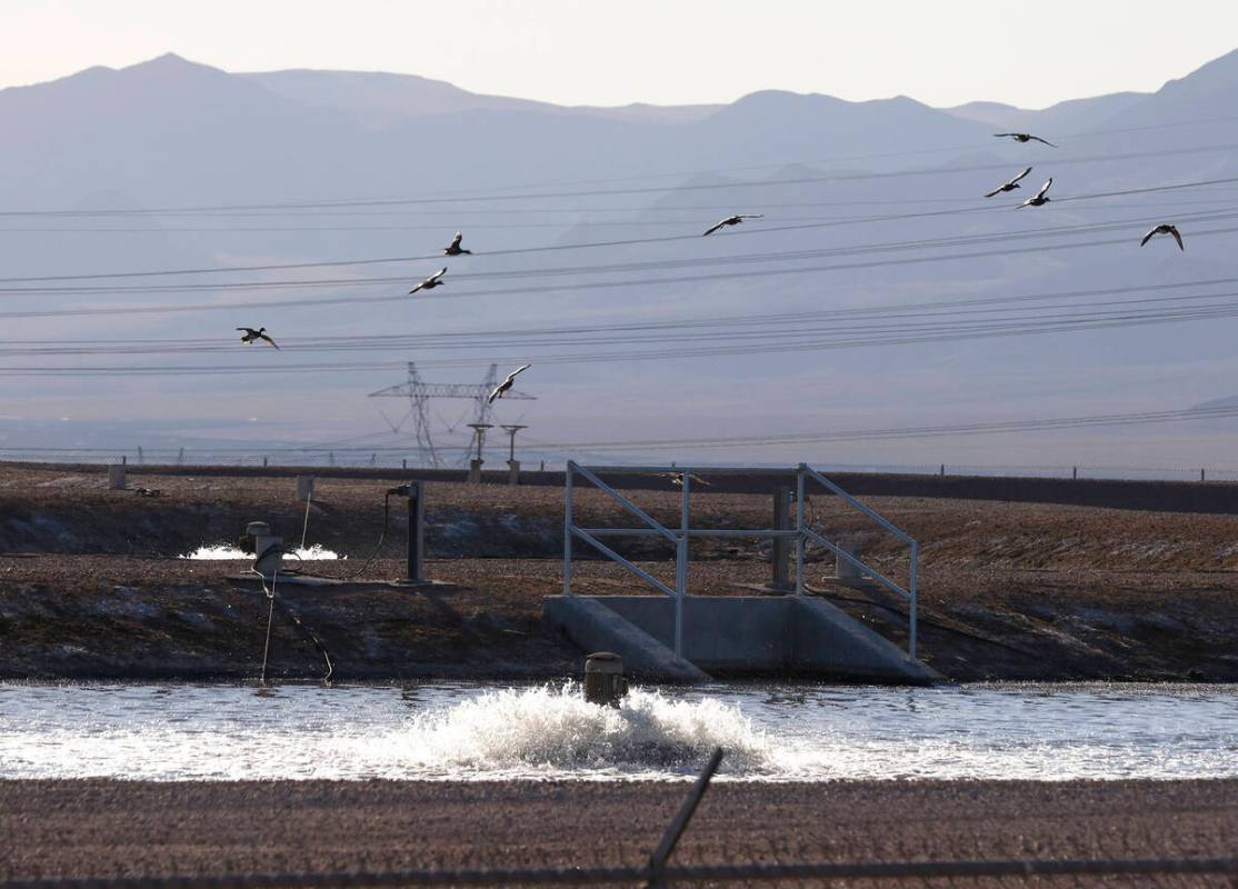 The Boulder City wastewater treatment facility is shown on Wednesday, Nov. 30, 2022, in Boulder ...