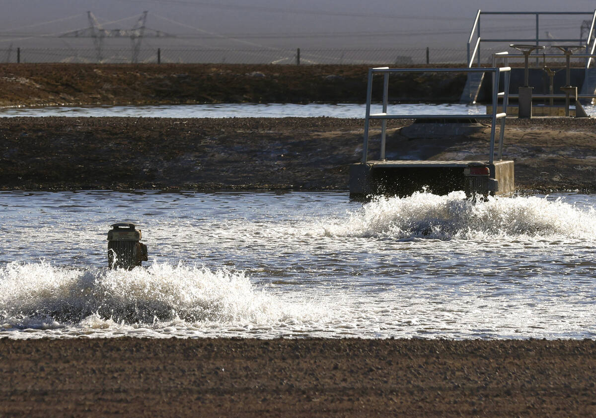 Evaporation ponds at the Boulder City wastewater treatment facility are shown on Wednesday, Nov ...