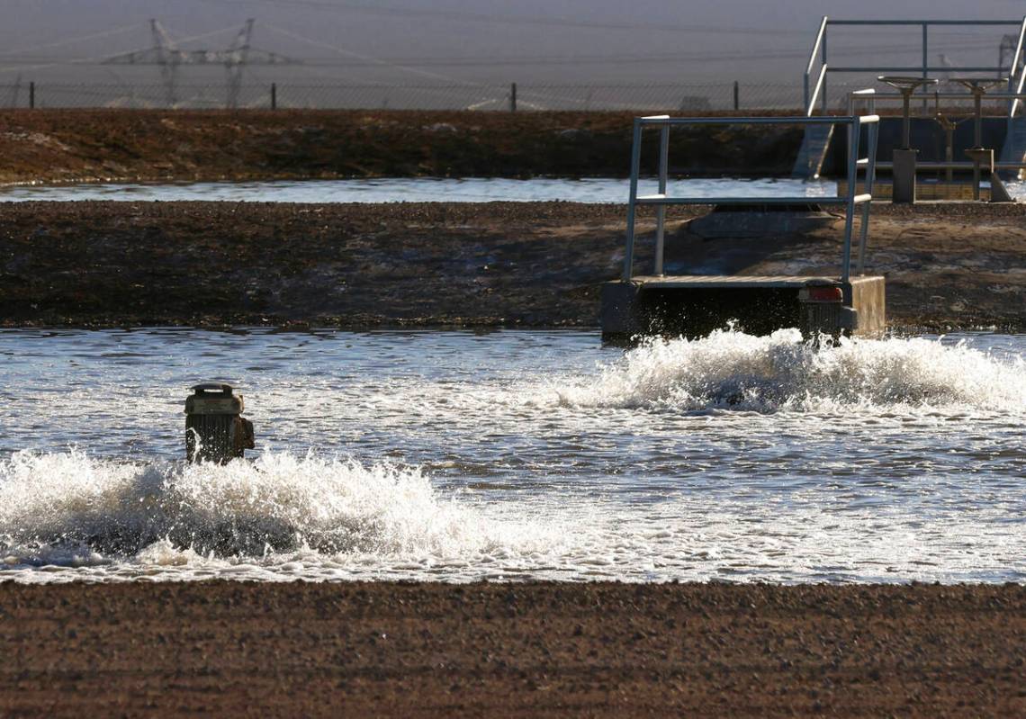 Evaporation ponds at the Boulder City wastewater treatment facility are shown on Wednesday, Nov ...