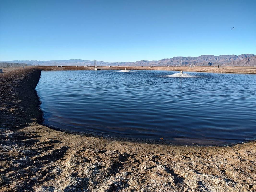 One of about a dozen Boulder City detention ponds that have been operating since the 1970s. Lak ...