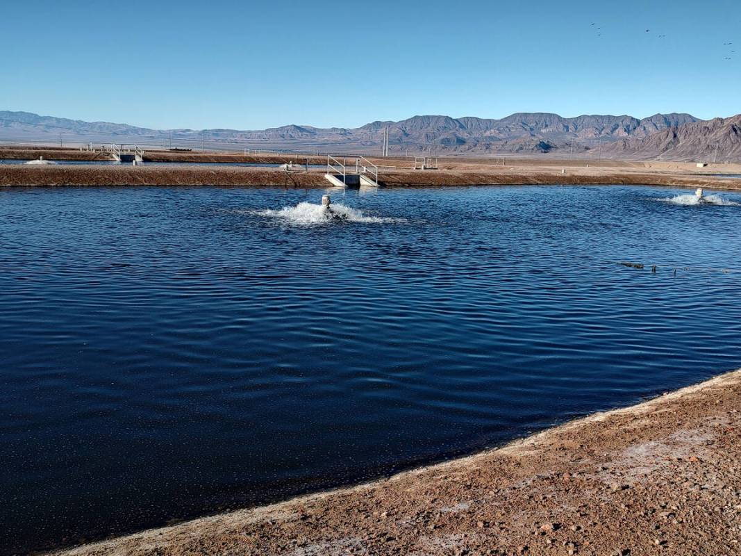 One of about a dozen Boulder City detention ponds that have been operating since the 1970s. Lak ...