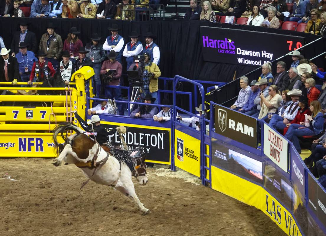 Dawson Hay, of Alberta, Canada, competes in saddle bronc riding during the first night of the N ...