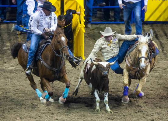 Hunter Cure Holliday, TX., leaves his horse for a steer on his winning run during Steer Wrestli ...