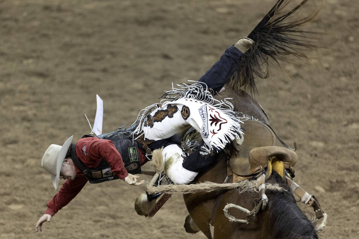 Chase Brooks, of Deer Lodge, Mont., falls from his horse while competing in saddle bronc riding ...