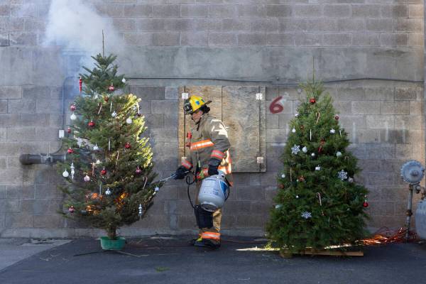 A firefighter lights up a Christmas tree on fire during a demonstration on the potential fire d ...