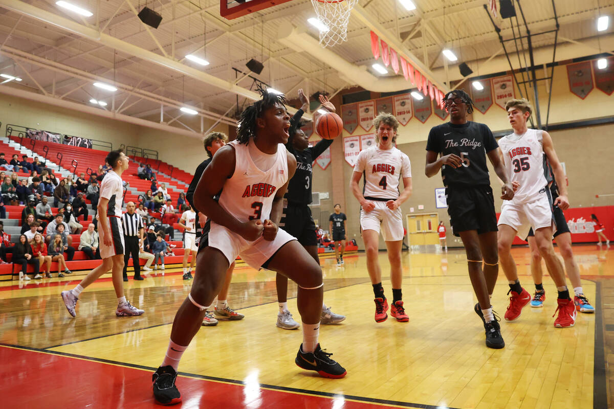 Arbor View's Brian Townsend (3) reacts after scoring against Shadow Ridge during a boy's basket ...