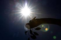 Sunshine is expected to warm the Las Vegas Valley on Friday, Dec. 23, 2022, according to the Na ...