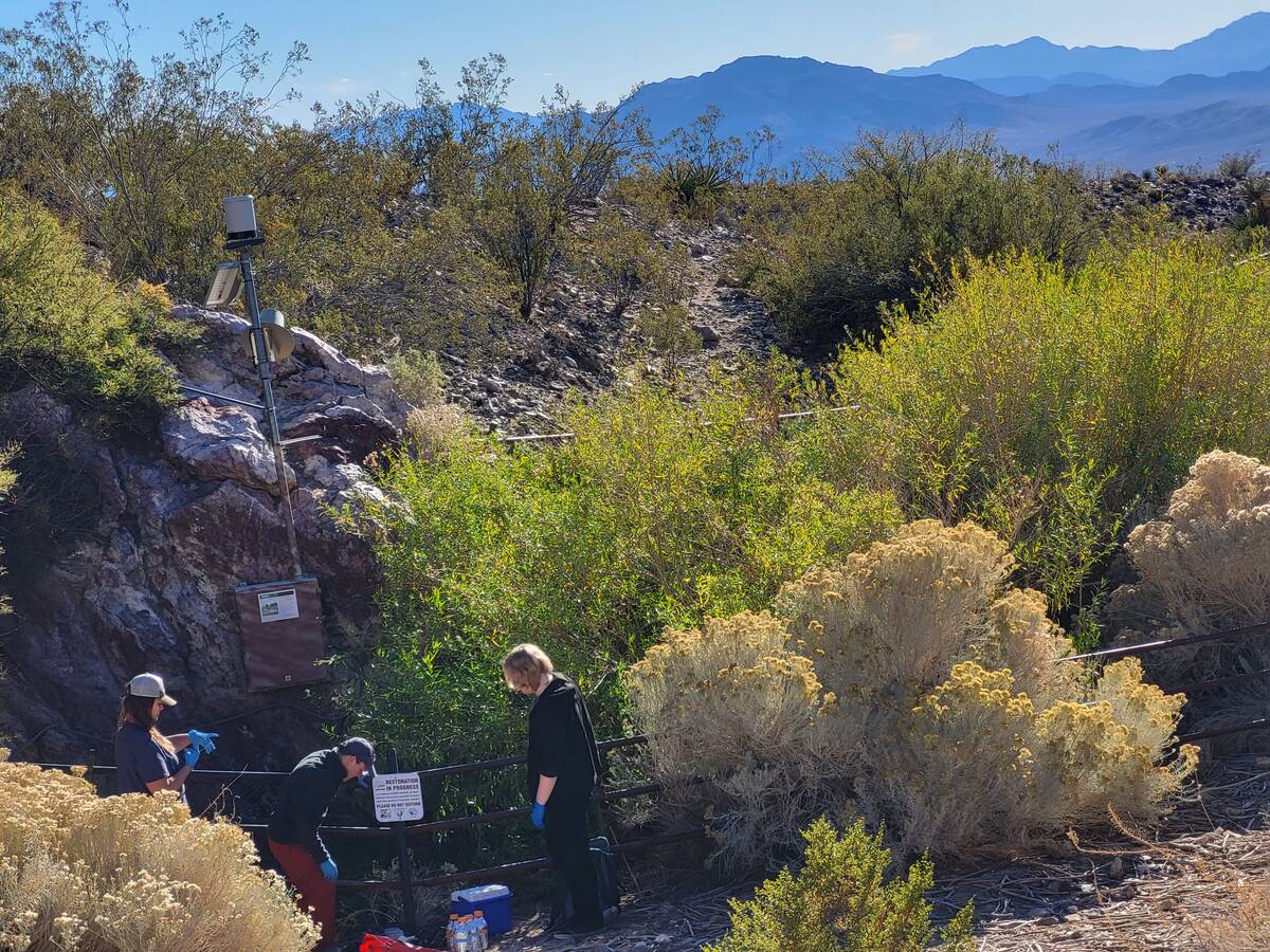 Marike Palmer (left), Brian Hedlund (center) and Cale Seymour (right) setting up near the openi ...