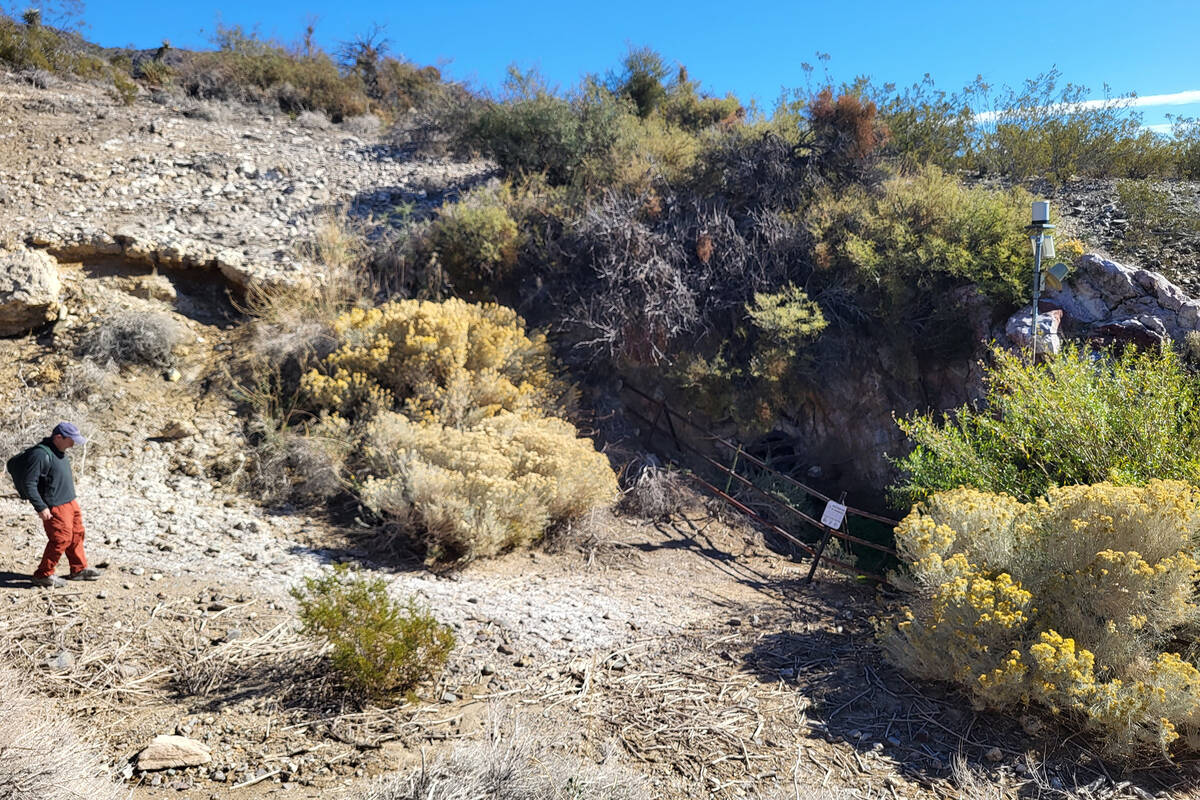 Microbiologist Brian Hedlund approaching the opening of the spring. (Mark Credico/Las Vegas Rev ...