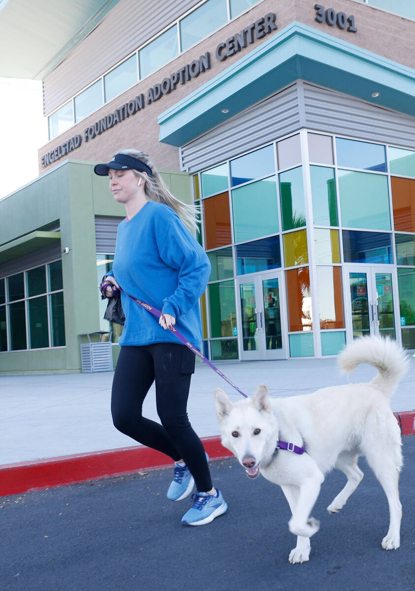 Kelly Porazzo of Las Vegas takes Rumor, a dog from The Animal Foundation, to run, Friday, Dec. ...