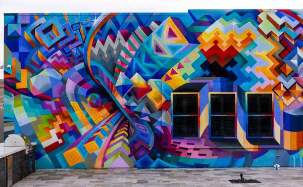 Marketing CEO Brandon Bowsky owns a home that he had a mural painted on its east and north faci ...
