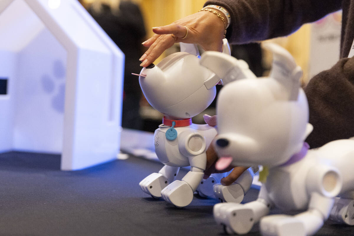 Sydney Wiseman gives a demonstration of the WowWee Dog-E toy during the CES ShowStoppers event ...