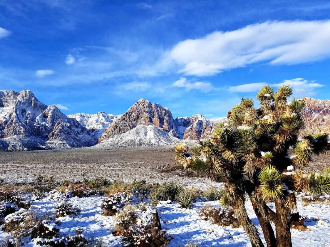 A snowy scene at Red Rock Canyon National Conservation Area following storms in recent years. ( ...