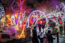 Attendees of the third annual Lights of Love take in the Valentine's Day-themed decorations at ...