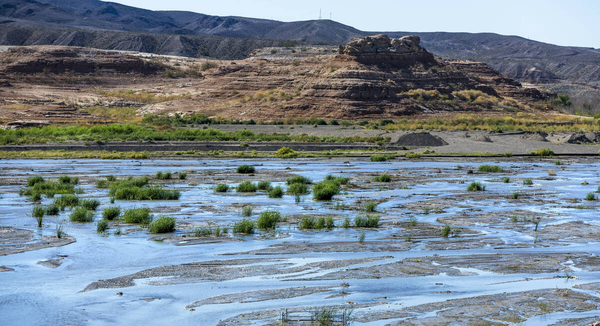 Parts of the lake are becoming more like marshes as here near Government Wash at the Lake Mead ...