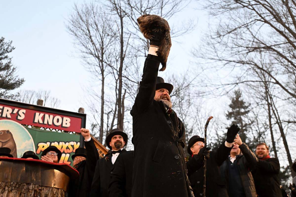 Groundhog Club handler A.J. Dereume holds Punxsutawney Phil, the weather prognosticating ground ...