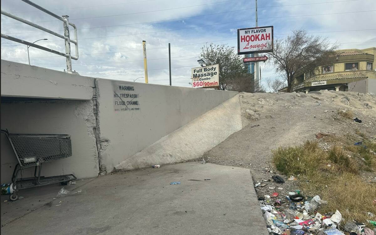 This tunnel is where a slaying victim and his girlfriend lived. The small hill is where the vic ...