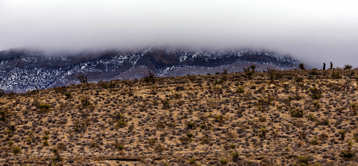 Visitors hike about the Red Rock Canyon National Conservation Area where scenic loop is tempora ...