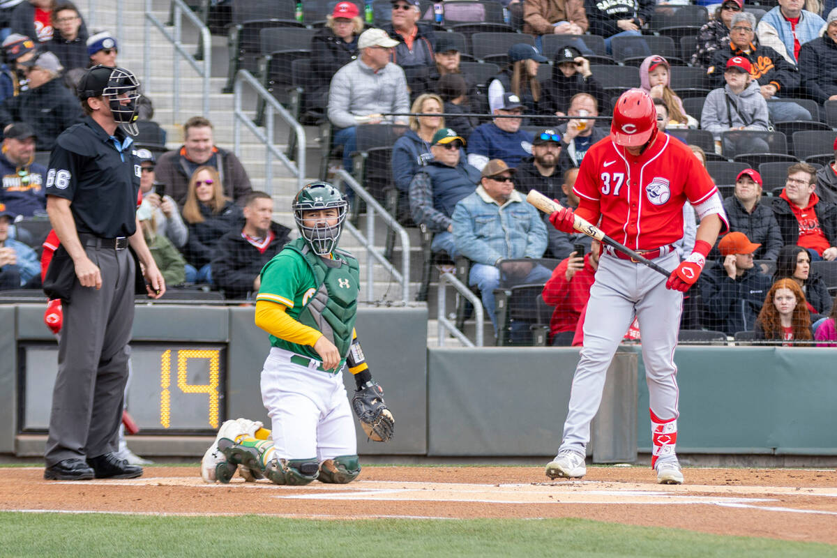 Oakland Athletics catcher Shea Langeliers (23) sets up behind Cincinnati Reds catcher Tyler Ste ...