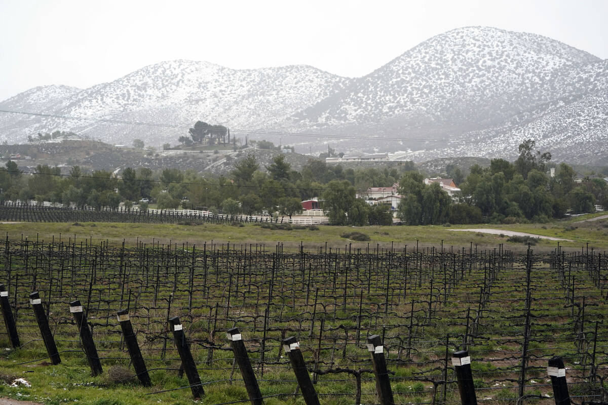 FILE - A hill is covered in snow over a vineyard Friday, Feb. 24, 2023, in Agua Dulce, Calif. F ...