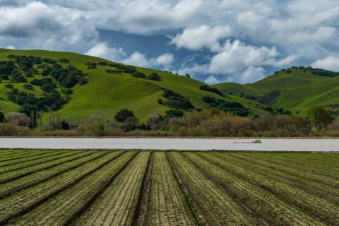 Floodwaters from the Salinas River fill agricultural fields in Spreckels, Calif., Monday, March ...