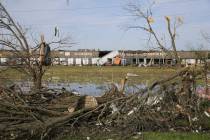 The broken and damaged trees along U.S. Hwy 45 South are covered with metal and other materials ...