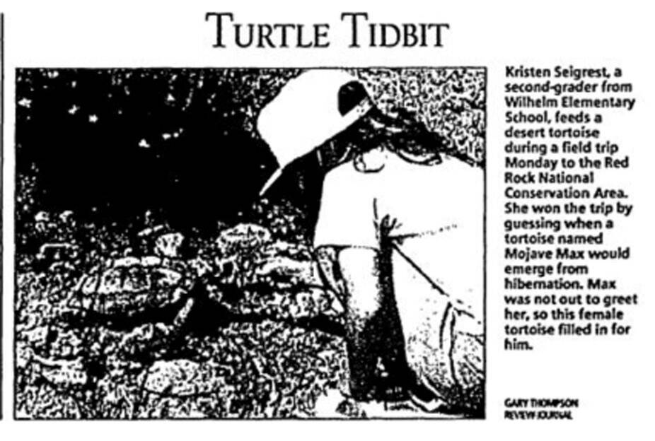 The first Mojave Max emergence contest winner, Kristen Seigrest, greets a female tortoise in Ma ...