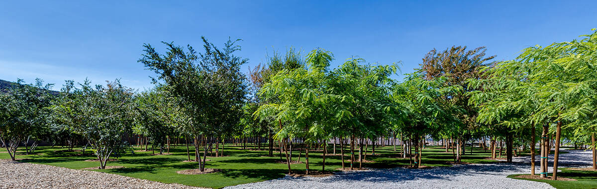 The adjacent lot. (IS Luxury)