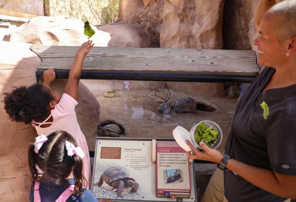 Raven Johnson, 5, left, and Senior Zoologist Katrina Smith, right, look on as Amelia Kusasira, ...