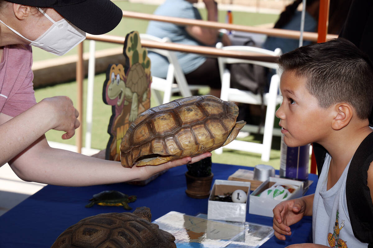 Get Outdoors Nevada education fellow Jennifer Tobin, left, shows a desert tortoise shell to Jax ...