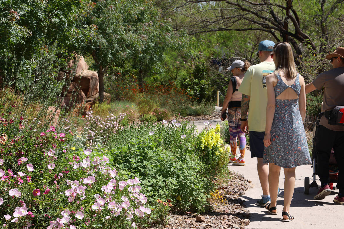 People walk along flowering pathways during an Earth Day festival at the Springs Preserve Satur ...