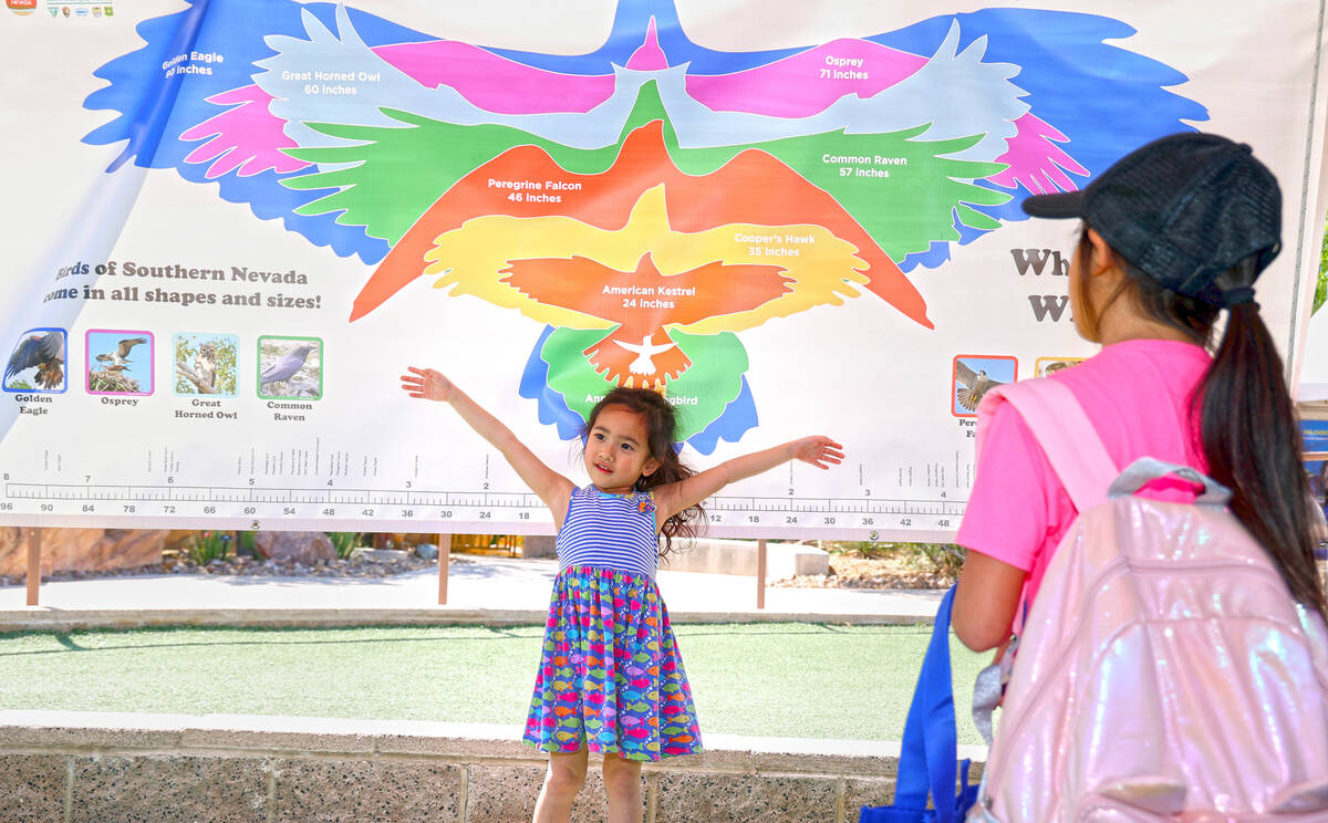 Amaya Castro, 5, compares her wingspan to birds of Southern Nevada near sister Arianna, 8, duri ...