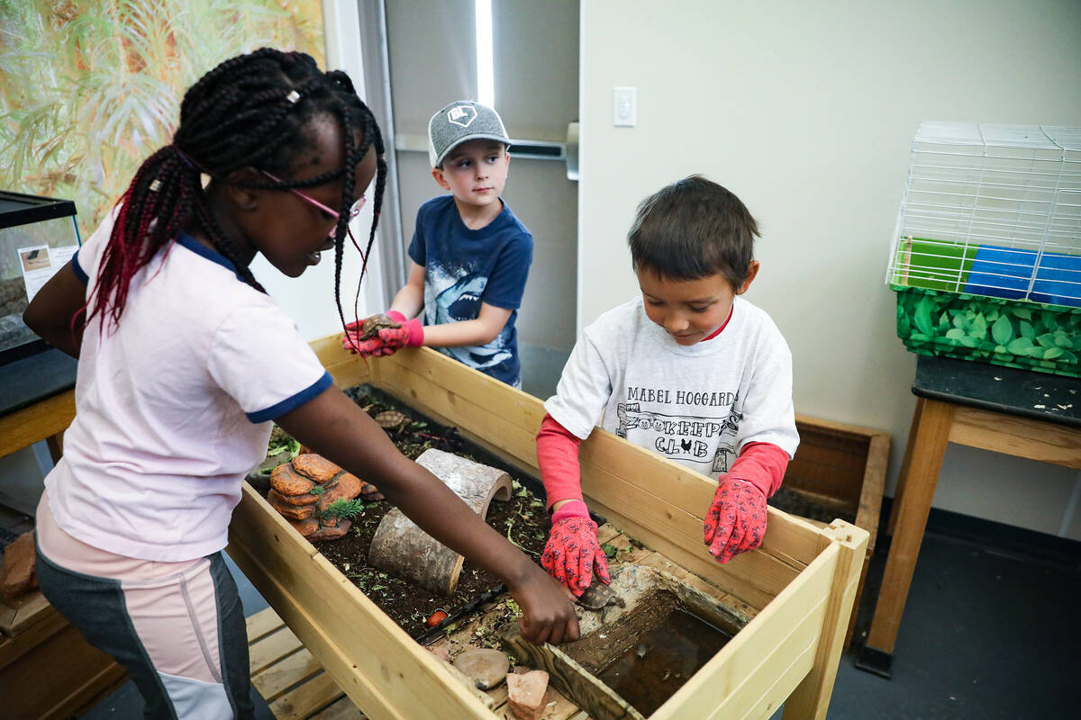 Brielle Kipyegon, 10, left, Finn Thompson, 7, center, and Caleb Cruz, 7, right, handle baby tor ...