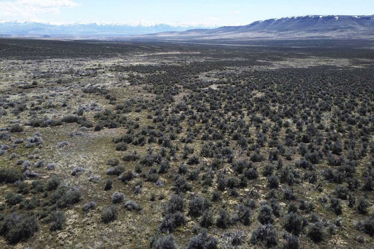 This photo shows land where the Thacker Pass lithium mine site will be on April 24, 2023, near ...