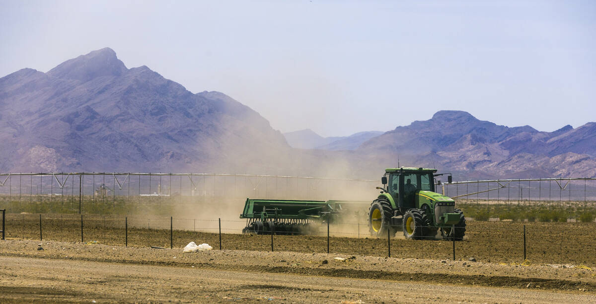 A new field is worked for planting Triticale for feeding on the Ponderosa Dairies, a dairy farm ...