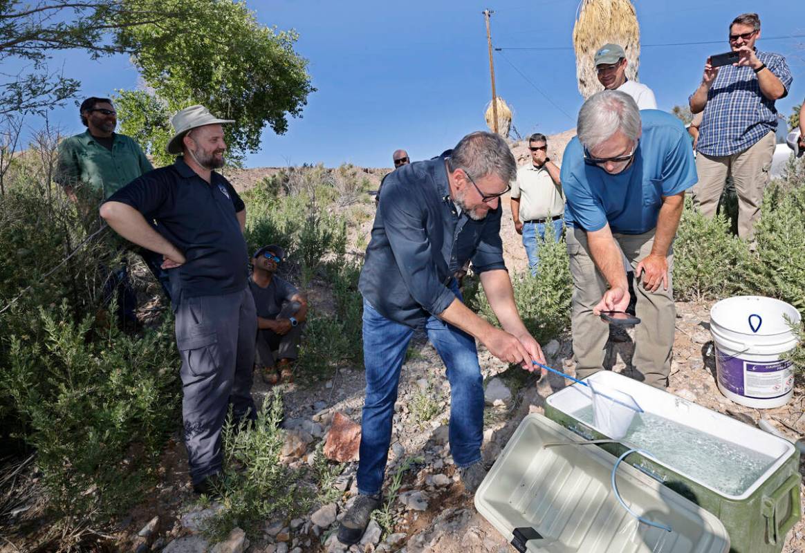 Michael Schwemm, senior fish biologist from U.S. Fish and Wildlife Service, center, scoops up a ...