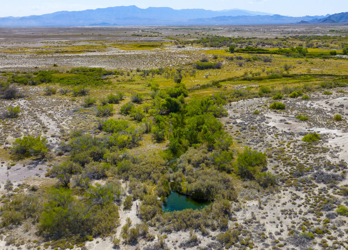 An aerial view of Fairbanks Spring at Ash Meadows National Wildlife Refuge in the Amargosa Vall ...