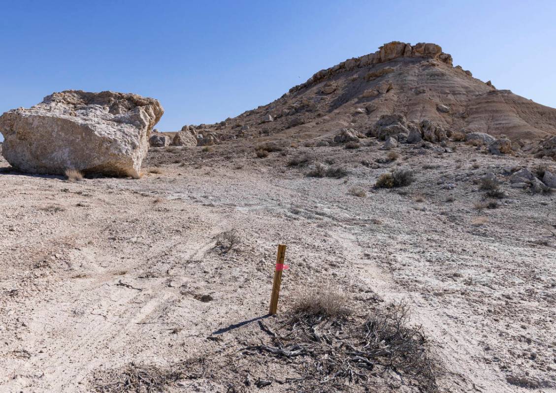 Site E sign is seen at one of thirty exploratory drilling sites at Ash Meadows National Wildlif ...