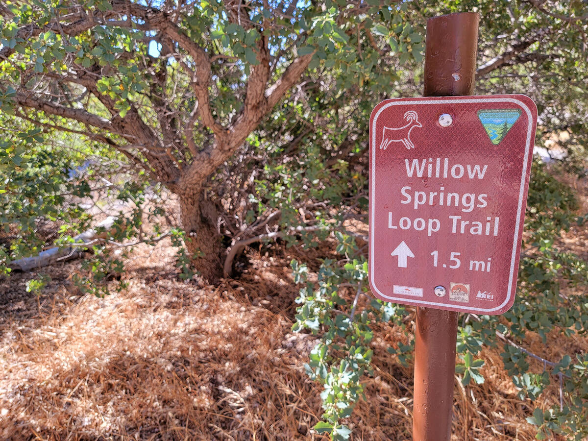 A sign helps guide visitors onto the Willow Springs Trail, which includes some shade and would ...