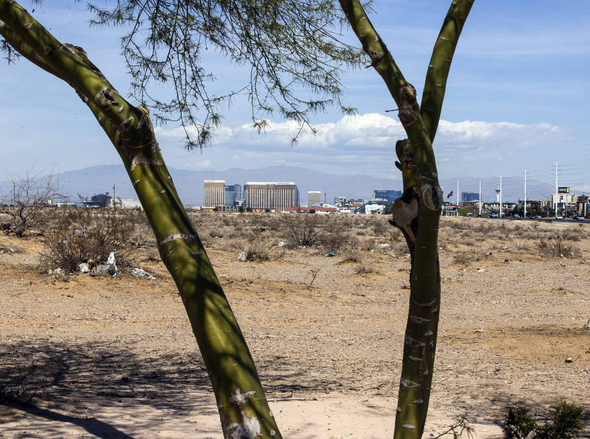 A vacant land south of the Strip where Oak View Group plans to build a $3 billion arena and cas ...