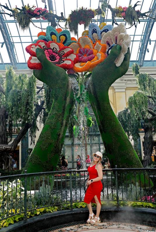 Estela Zavaleta poses for a photo as her husband Francisco Cruz takes a photo at Bellagio’s C ...