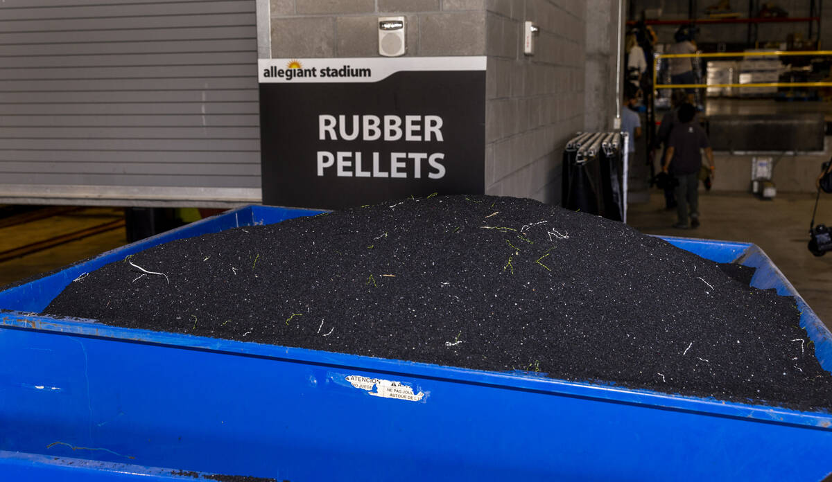 At the end of each turf event, Allegiant Stadium team members collect used rubber turf pellets ...