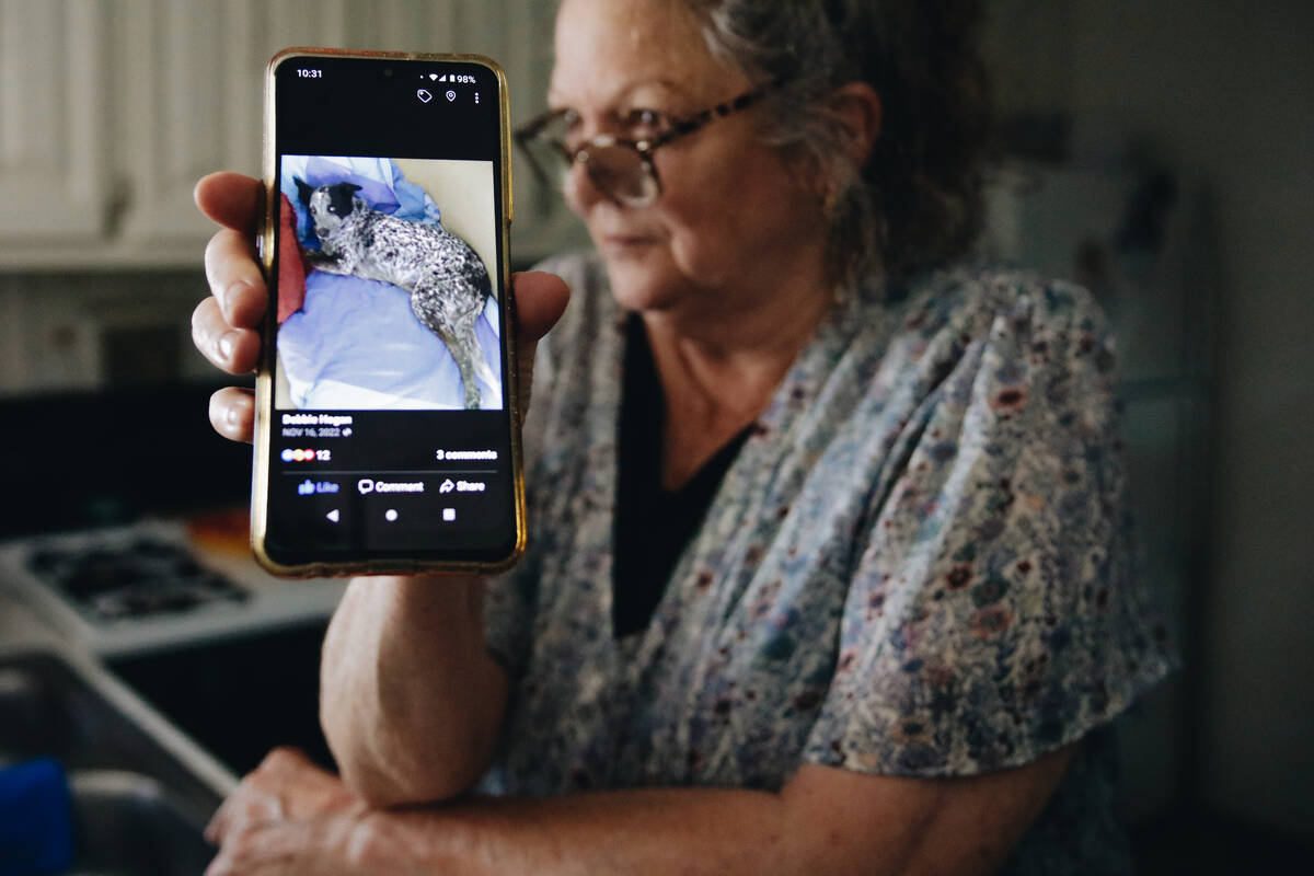 Debbie Hogan shows a photo on her cellphone of her dog, Tootsie, on July 5, 2023, at her home i ...