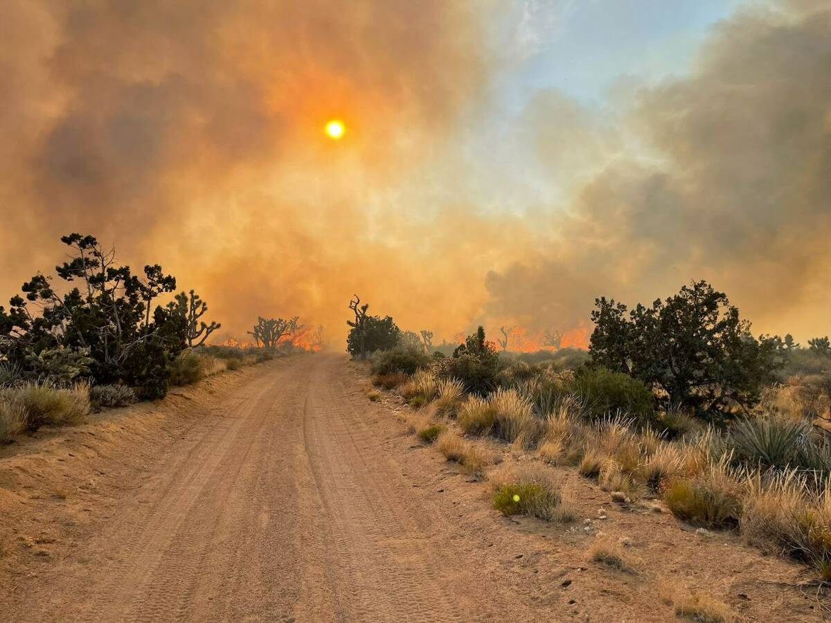 The York fire in Mojave National Preserve on Friday, July 28, 2023. (Mojave National Preserve)