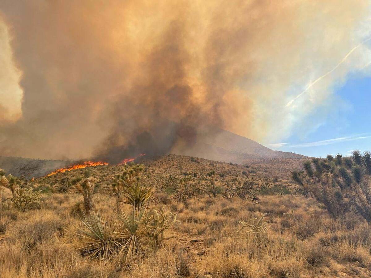 Erratic winds in the north end of the York fire on Saturday, July 29, 2023. (Mojave National Pr ...