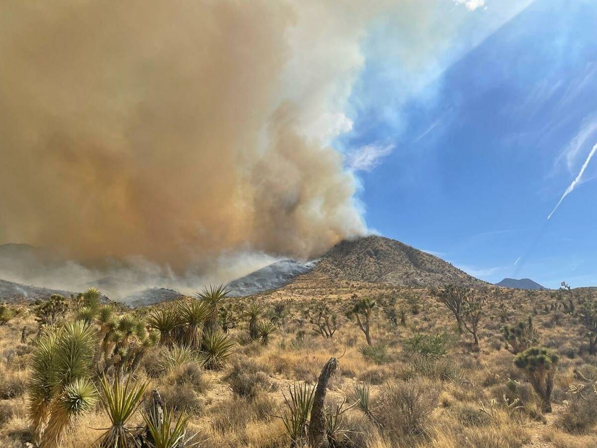 Erratic winds in the north end of the York fire on Saturday, July 29, 2023. (Mojave National Pr ...