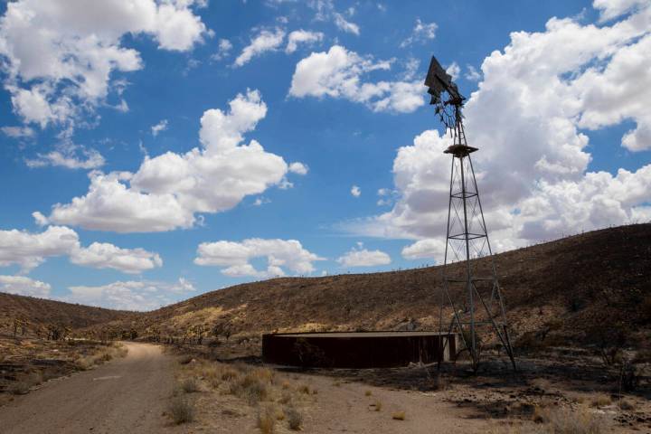 Burned landscape from the York Fire is shown in the Mojave National Preserve on Tuesday, Aug. 1 ...