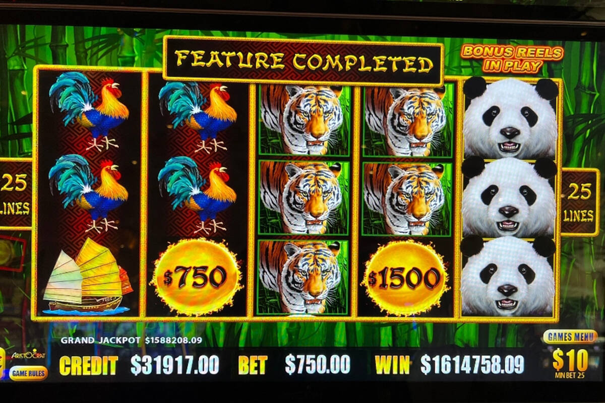 A Dragon Link slots player won more than $1.6 million after hitting a jackpot on Friday, Aug. 4 ...