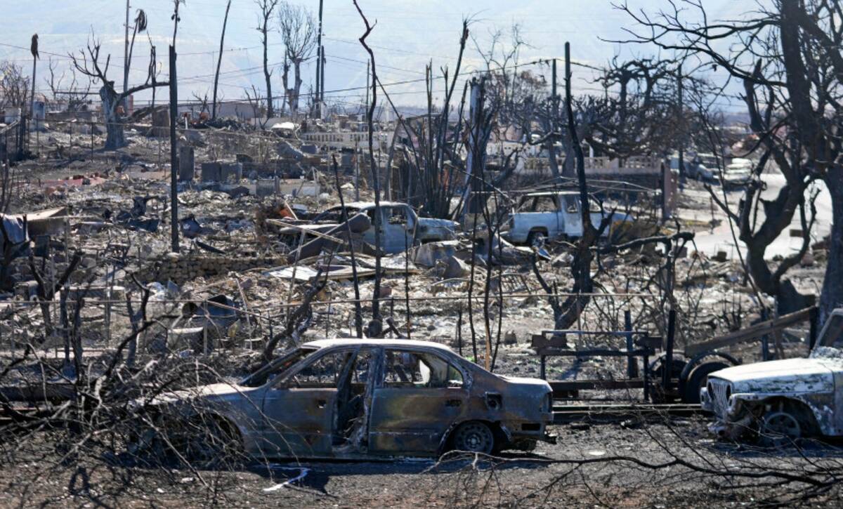 Destroyed homes and cars are shown, Sunday, Aug. 13, 2023, in Lahaina, Hawaii. (AP Photo/Rick B ...